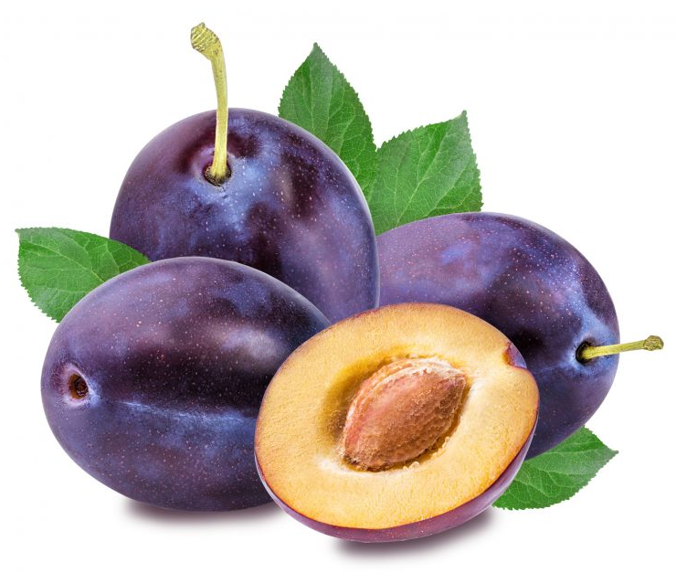 /